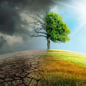 bf7ab70109 How Climate Change is Impacting Public Health: What Hospitals Need to Know